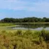 Rustic wildlife area, home to rare turtles & salamanders, is Iowa’s newest park