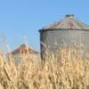 Report rates 19% of large and mid-sized Iowa farming operations financially vulnerable