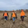 Iowa pheasant outlook once again good for hunters